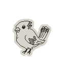 Stellarjay