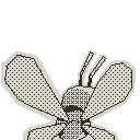 Wasper, back view