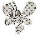 Wasper